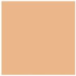 po-compacto-zanphy-50_2