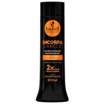 condicionador-haskell-encorpa-cabelo-300ml_1