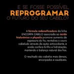 fluido-finalizador-encorpa-cabelo-haskell-120ml_2