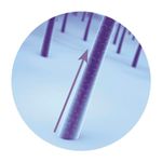 shampoo-eudora-siage-acelera-o-crescimento-250ml_2