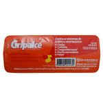 gripalce-40044mg-5-capsulas-brasterapica-similar_2